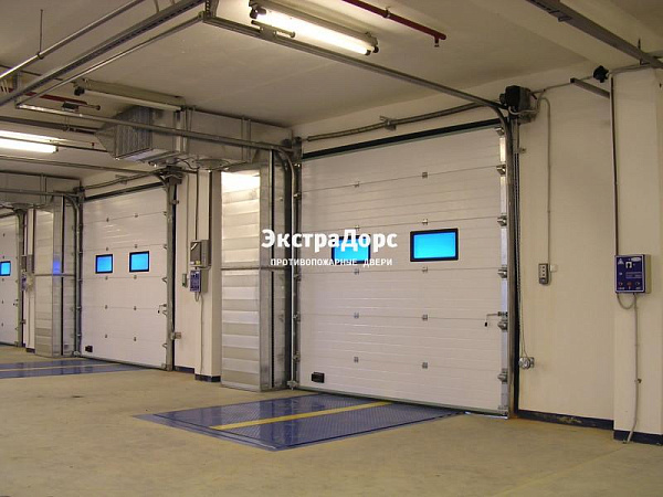 Подъемные автоматические противопожарные ворота с окнами в Орехово зуево  купить