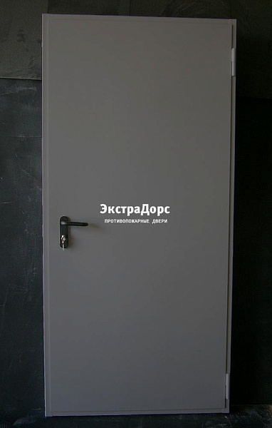Дверь металлическая противопожарная EI 60 ДПМ 2 типа серая в Орехово зуево  купить